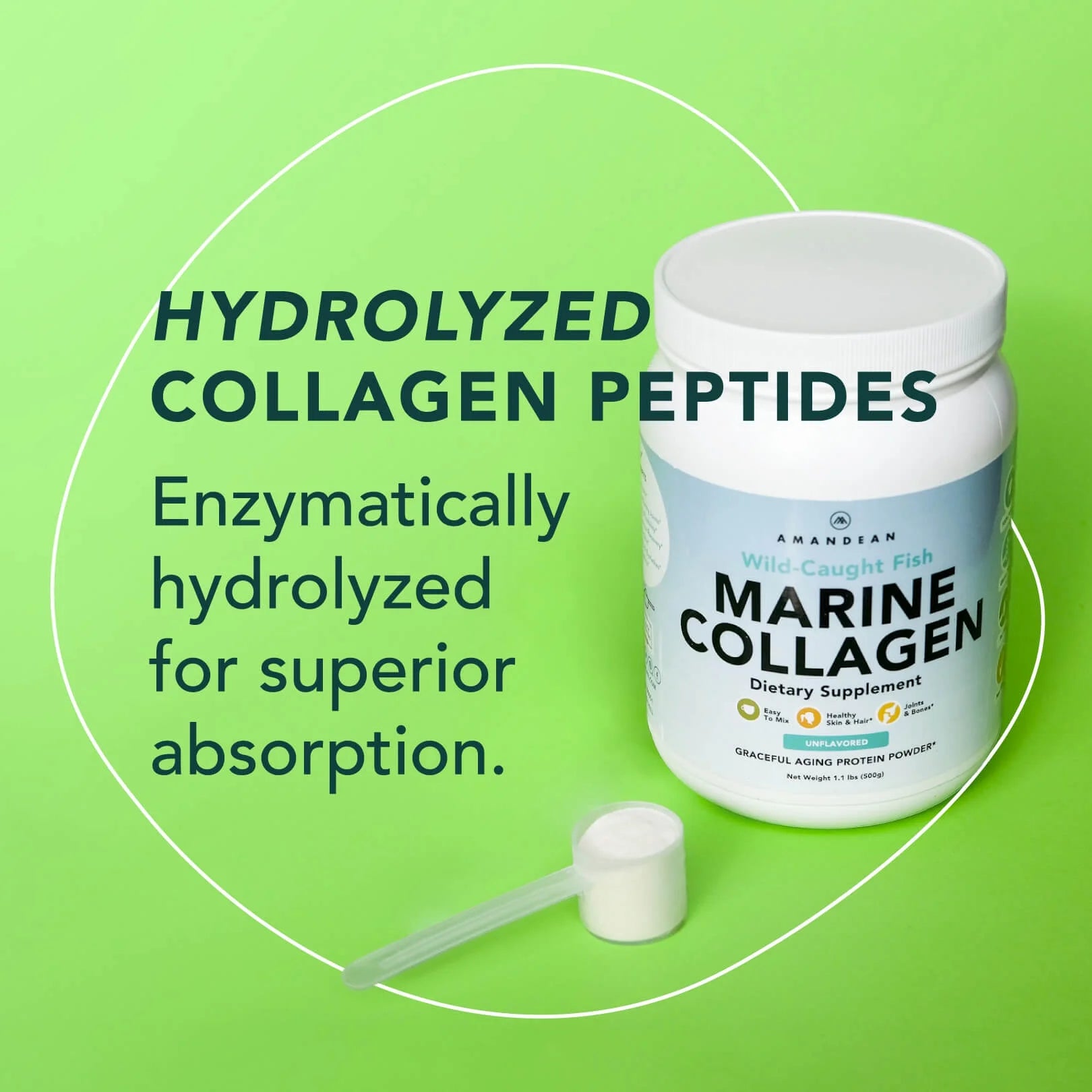 Premium Anti-Aging Marine Collagen Powder 17.6 Oz | Wild-Caught Hydrolyzed Fish Collagen Peptides | Type 1 & 3 Collagen Protein Supplement | Amino Acids for Skin, Hair, Nails | Paleo Friendly, Non-Gmo