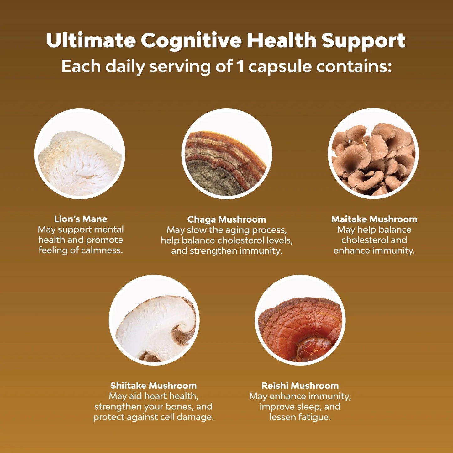 Master Mushroom Complex Nootropic Supplement - 5-In-1 Lion'S Mane Mushroom Supplement with Chaga Maitake Shiitake and Reishi Mushrooms Blend - Brain Booster Lion'S Mane Supplement - 120 Capsules