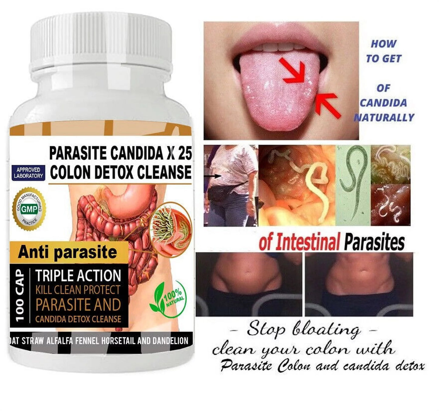 Parasite Cleanse DETOX Liver Colon Yeast Killer Pills All Natural Detox Candida 100 Capsules