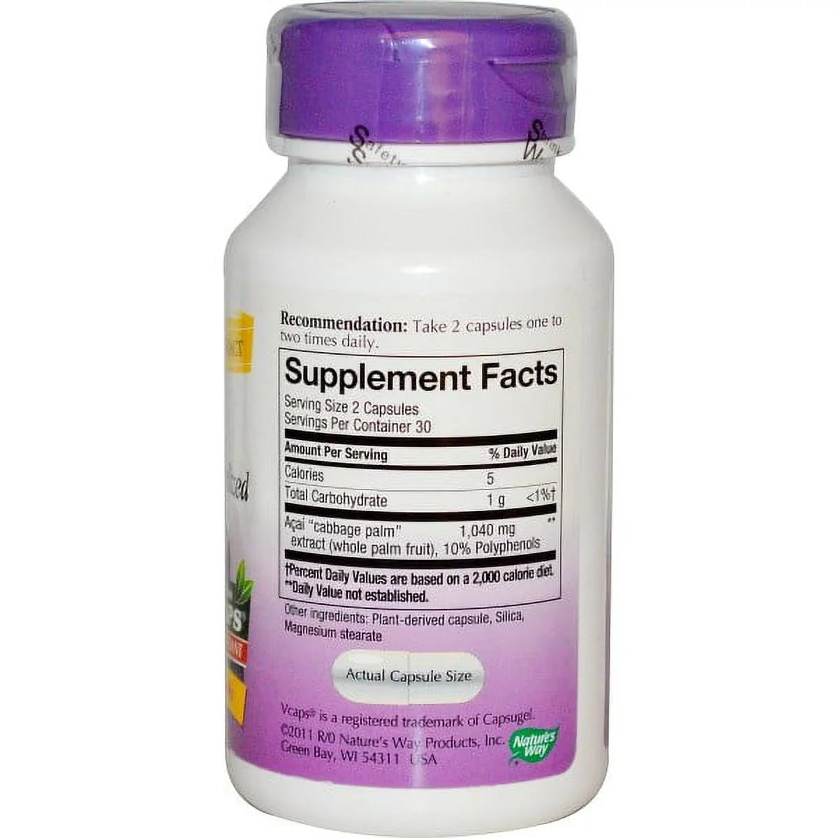 - Standardized Acai - 60 Vegetarian Capsules