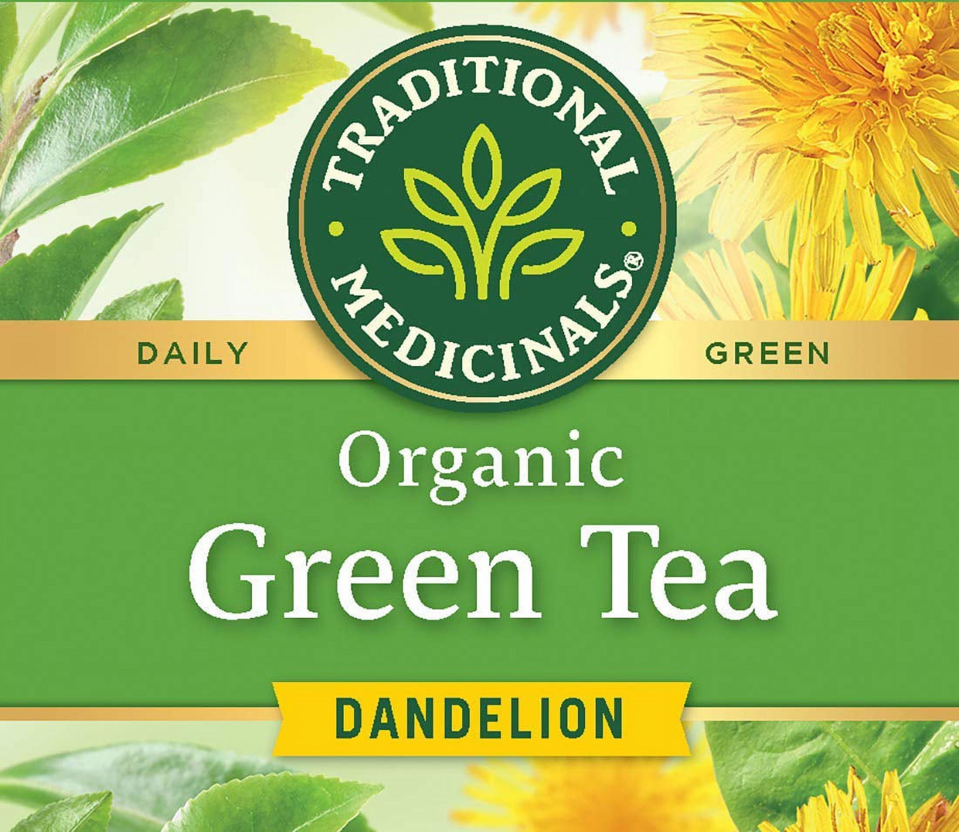 Green Tea Dandelion Green Tea Organic, 16 CT (Pack of 3)